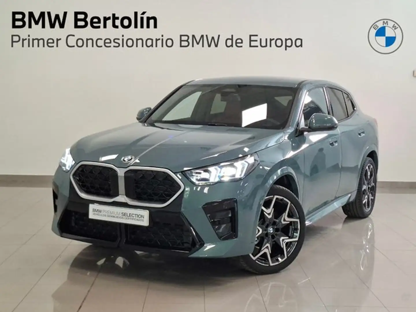 BMW X2 xDrive 20dA Verde - 1