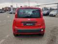 Fiat Panda Hybrid 1.0 70cv Easy Rosso - thumbnail 6