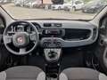Fiat Panda Hybrid 1.0 70cv Easy Rosso - thumbnail 10