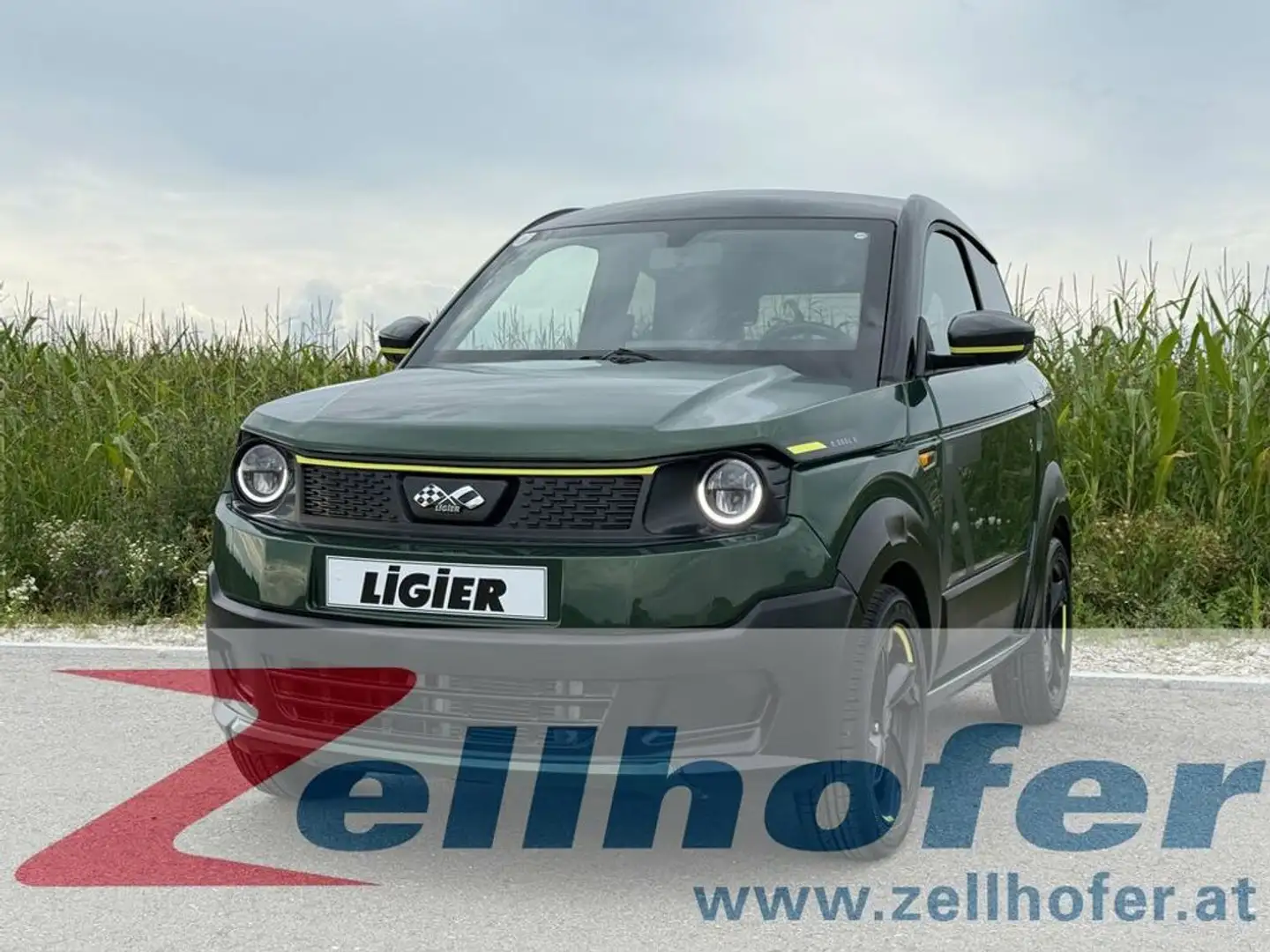 Ligier Myli MyLi R.EBEL X 12 kW/h SERVO KLIMA CARPLAY Verde - 1