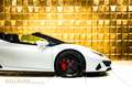 Lamborghini EVO SPYDER  + LIFT+ EVO TRIM + SPORT SEATS Blanc - thumbnail 9
