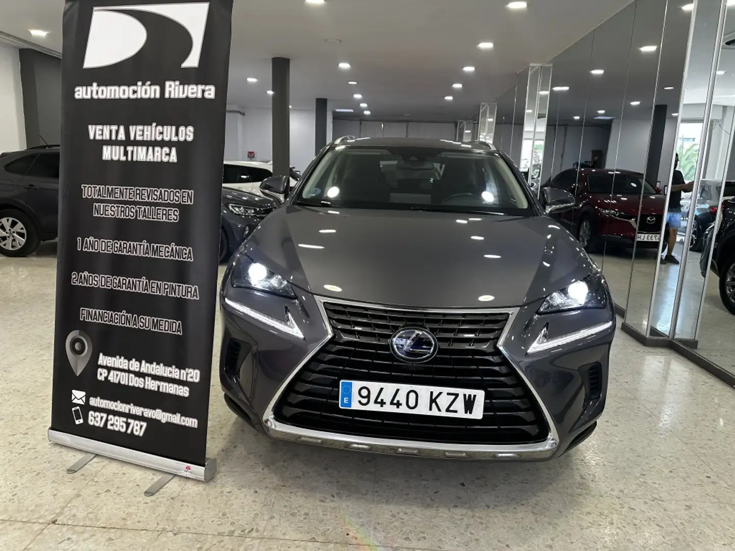 Lexus NX 300 300h Business Navigation 2WD Grijs - 1