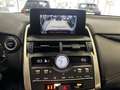 Lexus NX 300 300h Business Navigation 2WD Grijs - thumbnail 18