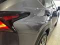 Lexus NX 300 300h Business Navigation 2WD Grijs - thumbnail 31