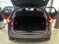 Lexus NX 300 300h Business Navigation 2WD Grijs - thumbnail 14