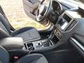 Subaru XV 1.6i Lineartronic Edition Comfort Plus Weiß - thumbnail 6