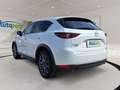 Mazda CX-5 2,2 Skyactive-D 175 Revolution Top AWD Weiß - thumbnail 6