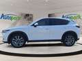Mazda CX-5 2,2 Skyactive-D 175 Revolution Top AWD Weiß - thumbnail 4
