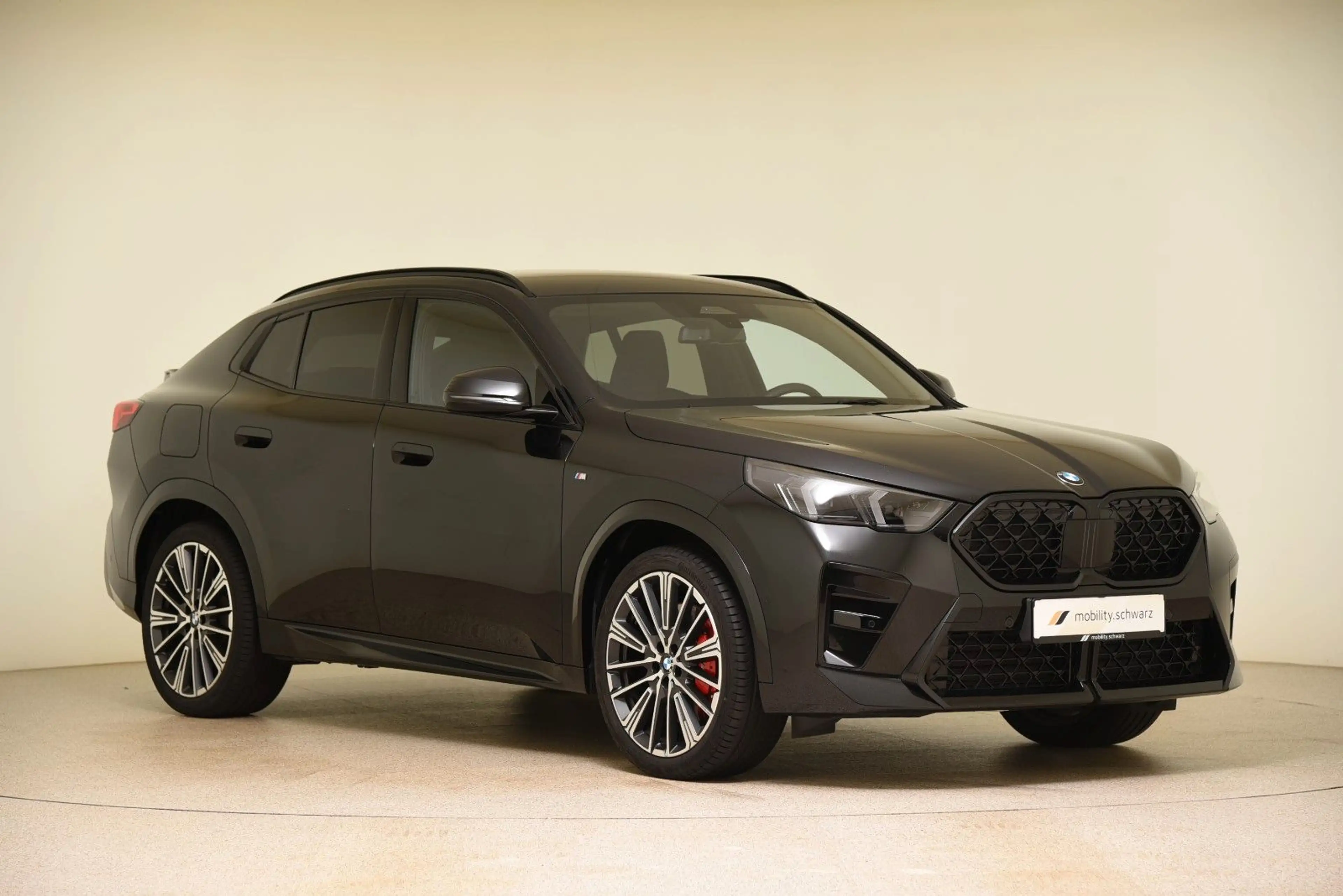 BMW X2 xDrive20d M Sport Pro AHK DriveAss+ Adapt.LED — photo 4