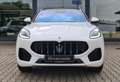 Maserati Grecale GT Sommerdeal "3Jahre Service inklusive" Wit - thumbnail 6