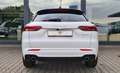 Maserati Grecale GT Sommerdeal "3Jahre Service inklusive" Wit - thumbnail 7