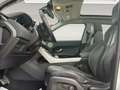 Land Rover Range Rover Evoque 2.2L TD4 Dynamic 4x4 Aut. Blanco - thumbnail 14