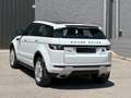 Land Rover Range Rover Evoque 2.2L TD4 Dynamic 4x4 Aut. Blanco - thumbnail 13