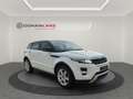 Land Rover Range Rover Evoque 2.2L TD4 Dynamic 4x4 Aut. Blanco - thumbnail 12