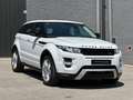 Land Rover Range Rover Evoque 2.2L TD4 Dynamic 4x4 Aut. Blanco - thumbnail 11