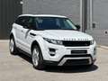 Land Rover Range Rover Evoque 2.2L TD4 Dynamic 4x4 Aut. Blanco - thumbnail 6