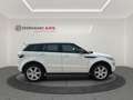 Land Rover Range Rover Evoque 2.2L TD4 Dynamic 4x4 Aut. Blanco - thumbnail 7