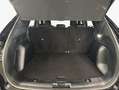 Ford Kuga 2.0 EcoBlue Aut. ST-LINE Schwarz - thumbnail 5