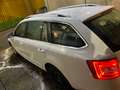 Skoda Octavia Octavia 1,6 Ambiente Ambiente Weiß - thumbnail 6