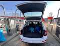 Skoda Octavia Octavia 1,6 Ambiente Ambiente Weiß - thumbnail 10