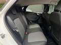 Ford Puma 1.0 EcoBoost Titanium X/LED/MASSAGE/KAMERA/B&O/APP Blanc - thumbnail 19