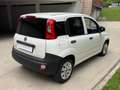 Fiat New Panda van 1.3 mjt Pop VAN 5p MOTORE NUOVO Blanc - thumbnail 4