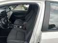 Toyota Corolla TS 1.8 Hybrid business SW - FW462YV Bianco - thumbnail 8