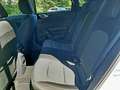 Kia Ceed / cee'd 1.5T DCT Spirit STD Weiß - thumbnail 10
