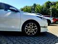 Kia Ceed / cee'd 1.5T DCT Spirit STD Weiß - thumbnail 15