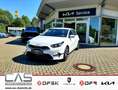 Kia Ceed / cee'd 1.5T DCT Spirit STD Blanco - thumbnail 1