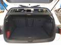 Volkswagen Golf VIII 1.5 TSI Goal AHK ACC LED Navi Sitzhzg Weiß - thumbnail 8