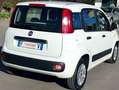 Fiat New Panda 1.3 MULTIJET Fehér - thumbnail 3