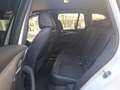 BMW X3 xDrive20d (G01) M Sport Gestiksteuerung HiFi Weiß - thumbnail 10