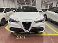 Alfa Romeo Stelvio 2.2 TD 190 CV Super Business AT8 Q4 Weiß - thumbnail 6