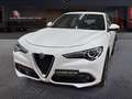 Alfa Romeo Stelvio 2.2 TD 190 CV Super Business AT8 Q4 Weiß - thumbnail 1