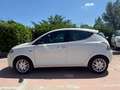 Lancia Ypsilon Ypsilon III 2011 1.2 8v Gold s/CL 69cv E6 Bianco - thumbnail 8
