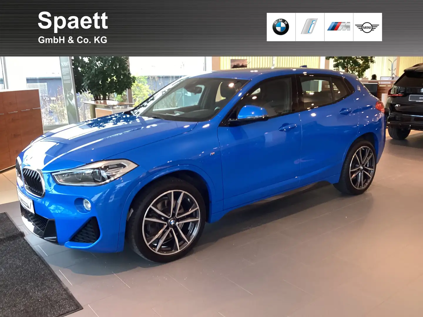 BMW X2 xDrive20d M Sportpaket Head-Up LED Tempomat Blauw - 1