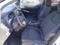 Nissan Leaf Leaf N-Connecta 39kWh Weiß - thumbnail 8