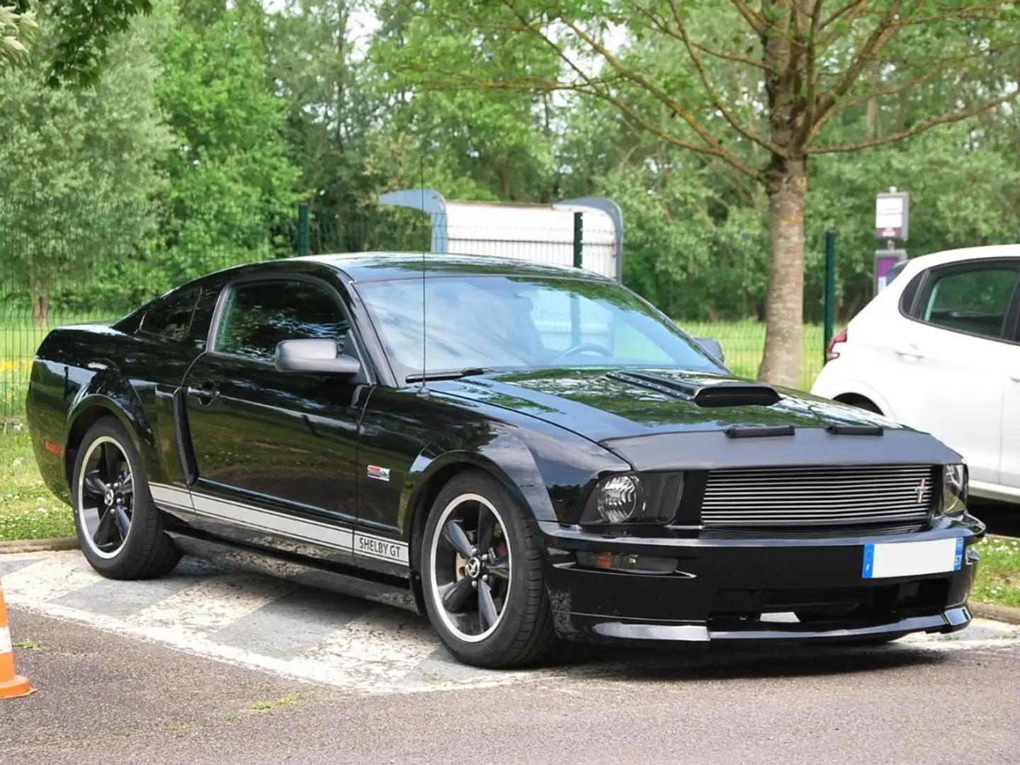 Ford Mustang SHELBY GT350 4.6 V8 325CV Чорний - 1