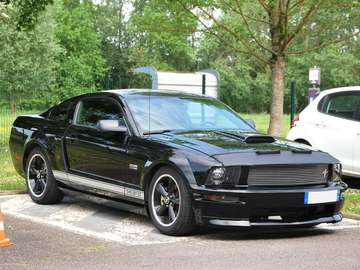 SHELBY GT350 4.6 V8 325CV