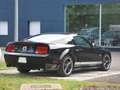 Ford Mustang SHELBY GT350 4.6 V8 325CV Чорний - thumbnail 3