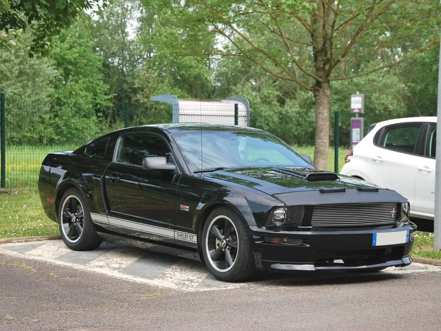 Ford Mustang SHELBY GT350 4.6 V8 325CV Чорний - 2