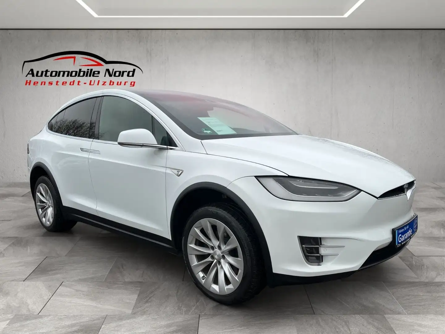 Tesla Model X Performance Dual Blanco - 1