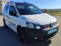 Volkswagen Caddy Maxi Furgón PRO 2.0 TDI 110cv 4motion Blanco - thumbnail 6