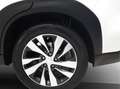 Suzuki S-Cross 1.5 Hybrid AllGrip Select | Automaat | Panoramadak Weiß - thumbnail 35