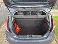 Ford Fiesta Fiesta 1.0 EcoBoost Trend/2014/92000/clim/Options Grijs - thumbnail 22