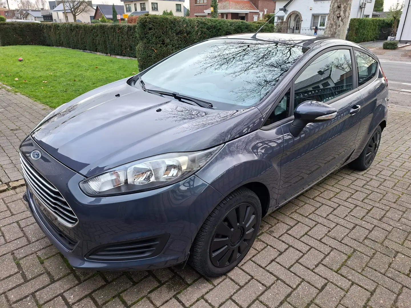 Ford Fiesta Fiesta 1.0 EcoBoost Trend/2014/92000/clim/Options Grijs - 1