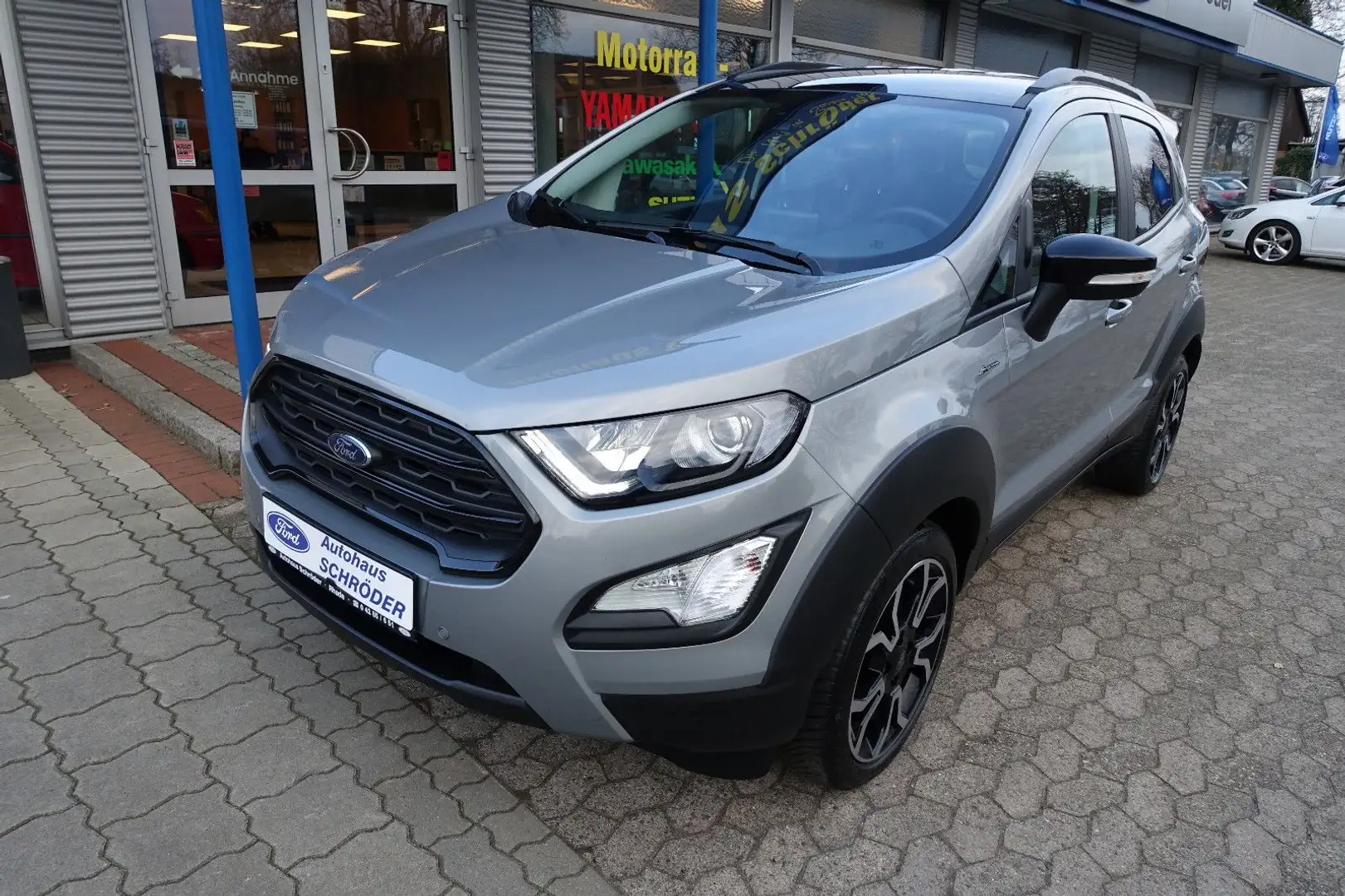 Ford EcoSport Active Silver - 2