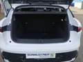 Renault Megane MEGANE E-Tech Equilibre EV60 220hp Optimum Charge Weiß - thumbnail 10