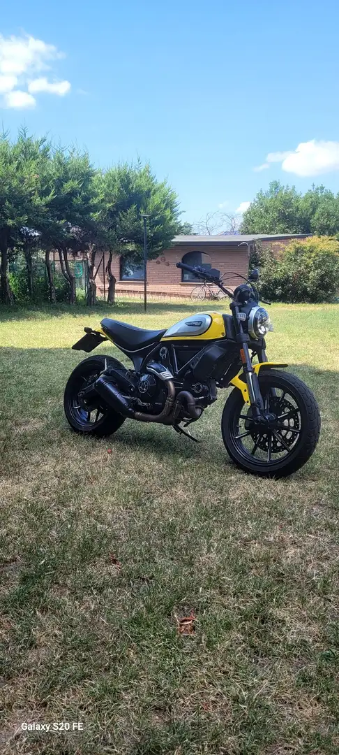 Ducati Scrambler 800 icon desmo e tagliando fatti Yellow - 2